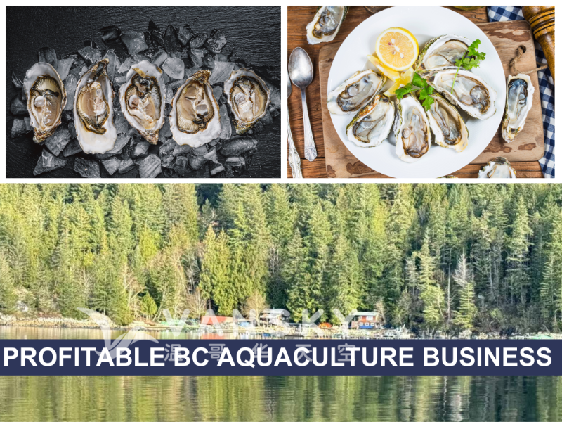 260212122829_Cover words .png